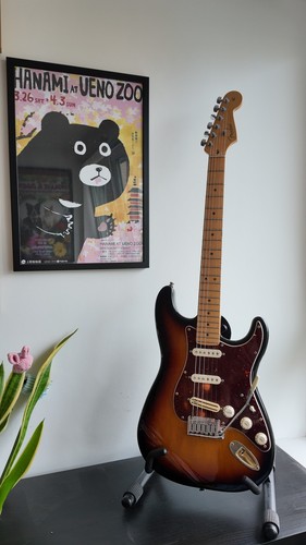 Fender american standard - fender,